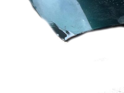 Toyota 53301-60320 Hood Sub-Assembly