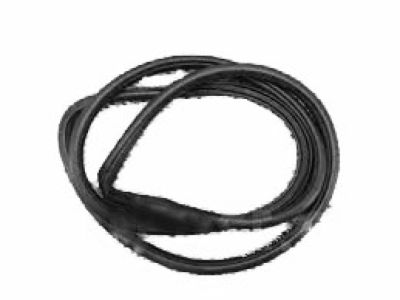 Toyota 62311-42100 Weatherstrip,  Front Door Opening Trim,  RH