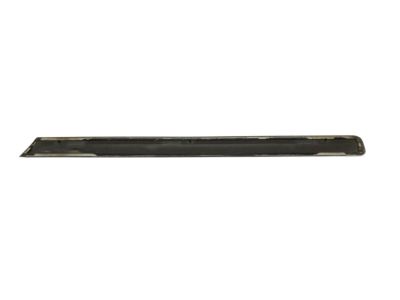 Toyota 75732-0C901 Body Side Molding, Front Driver Side
