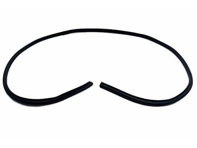 Toyota 62311-AA030-B0 Weatherstrip On Body, Passenger Side