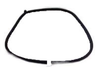 Toyota Camry Weather Strip - 62311-AA030-B0