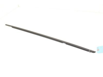 Toyota 75730-42050 Moulding Assembly, Rear Door Belt, Passenger Side