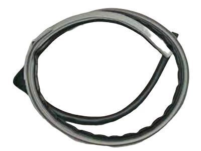 Toyota 62311-60020-B0 Weatherstrip,  Front Door Opening Trim,  RH