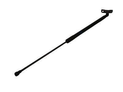 Toyota 68960-F4050 Lift Cylinder