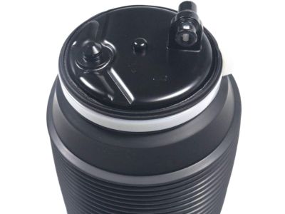 Toyota 48090-35011 Cylinder Assembly, Pneumatic, Rear Driver Side