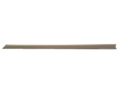 Toyota Corolla Door Moldings - PT938-02140-04