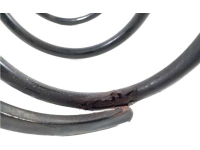 Toyota 48131-42420 Spring, Front Coil, Passenger Side