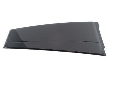 2017 Toyota Highlander Door Moldings - 75766-0E020