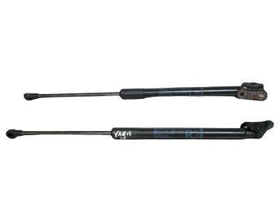 Toyota 68950-0W641 Lift Cylinder