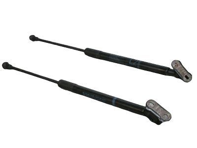 Toyota 68950-0W641 Lift Cylinder