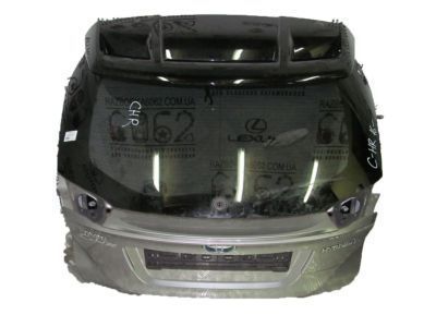 Toyota 67005-F4070 Panel Sub-Assy,  Back Door