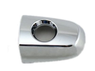 Scion 69250-06020-D0 Handle Cover