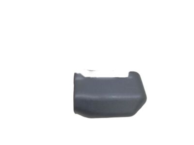 Toyota 71692-60060-B0 Hinge Cover