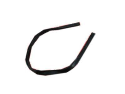Toyota 68171-90301 Weatherstrip,  Front Door Glass Channel