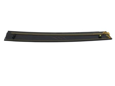 Toyota Prius Plug-In Door Moldings - 75755-47020