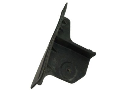 Scion 65632-21020 Rocker Molding Plate