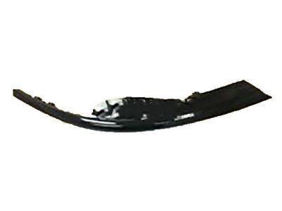 Scion 53181-12060 Cover