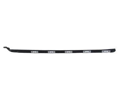 Toyota 75504-0E010 Side Molding, Outside Passenger Side