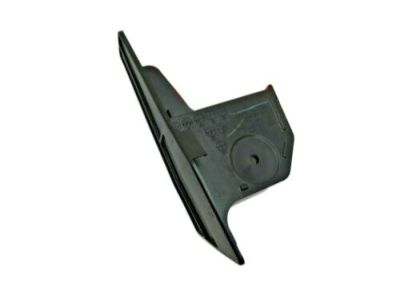 Scion 65631-21020 Rocker Molding Plate