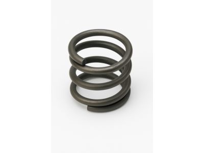 Toyota 90501-16166 Spring(For Rear Brake Shoe Hold Down)