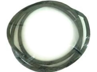 Toyota 63251-06100 Weatherstrip, Sliding Roof