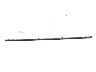 Toyota 75660-60040 Belt Molding, Passenger Side