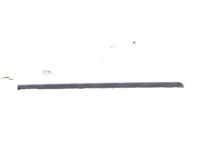 Toyota 75660-60040 Belt Molding, Passenger Side