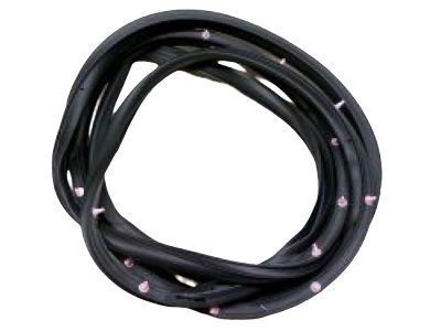 Toyota 62311-60081-B2 Weatherstrip,  Front Door Opening Trim,  RH