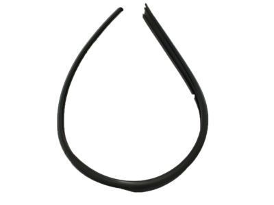 Toyota Tacoma Weather Strip - 62382-89101