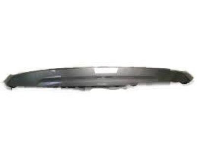 Toyota 53111-0C240-B1 Molding