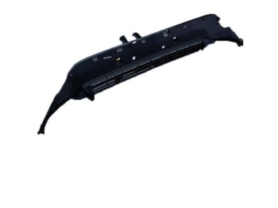 Toyota 53113-42170-C0 Grille, Radiator, Lower, Black