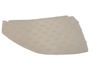 Scion 58747-21010 Quarter Panel Protector