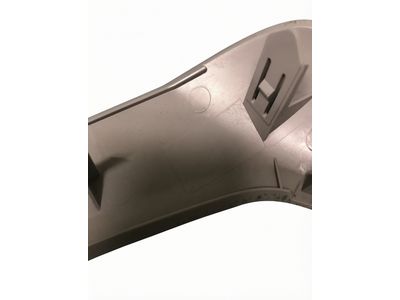74645-42040 Toyota Cover, Door Assist Grip, Passenger Side Product Photo 3 of 4