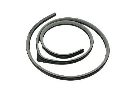 Toyota 62312-60080-B2 Weatherstrip,  Front Door Opening Trim,  LH