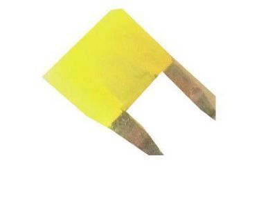Scion Fuse - 90080-82023