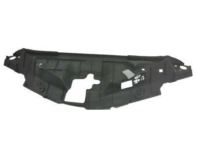 Toyota 53141-F4012 Sight Shield