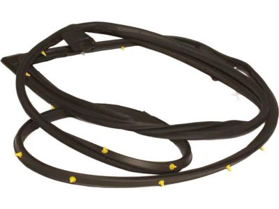 Toyota 67861-42120 Weatherstrip, Front Door, Passenger Side
