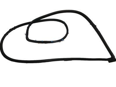 Toyota Door Seal - 67861-AC030