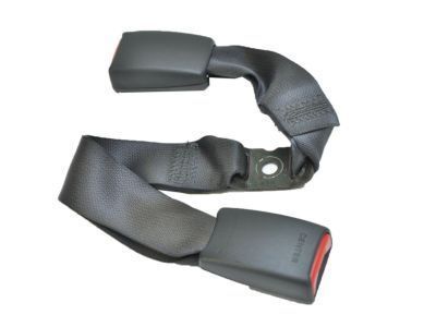 Scion 73480-21020-C0 Buckle