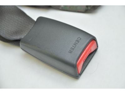Scion 73480-21020-C0 Buckle