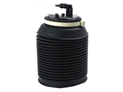 Toyota 48080-35011 Air Cylinder, Rear Passenger Side