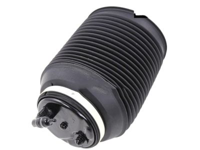 Toyota 48080-35011 Air Cylinder, Rear Passenger Side