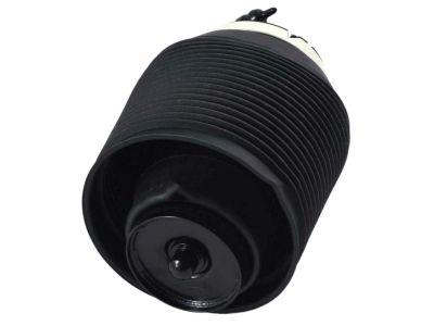 Toyota 48080-35011 Air Cylinder, Rear Passenger Side