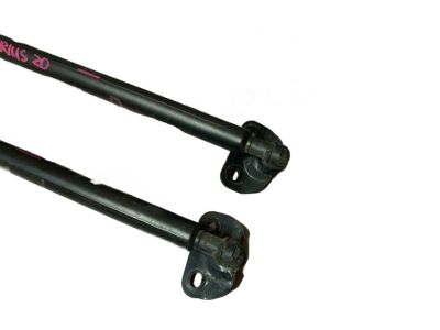 Toyota 68950-0W201 Stay Assembly, Back Door, Passenger Side