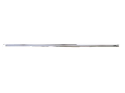 Scion 75850-12060-B0 Rocker Molding