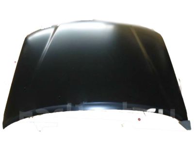 Toyota 53301-04170 Hood Sub-Assembly