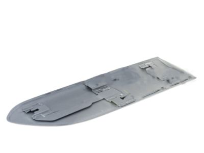 2002 Toyota RAV4 Door Moldings - 75742-42070-B0