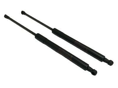 PT29A-21110-WW Toyota Strut Tc With Wiper Product Photo 1 of 1