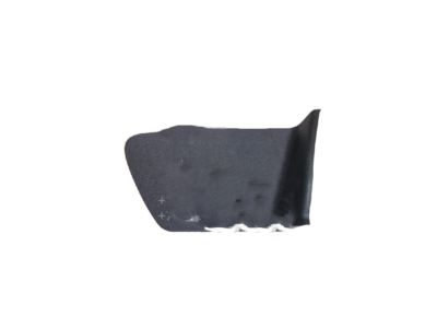 Scion 69283-47010-B2 Handle, Inside Hole Cover