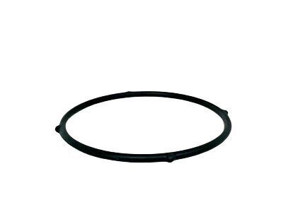 Toyota 16325-38010 Water Inlet Seal